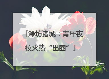 潍坊诸城：青年夜校火热“出圈”