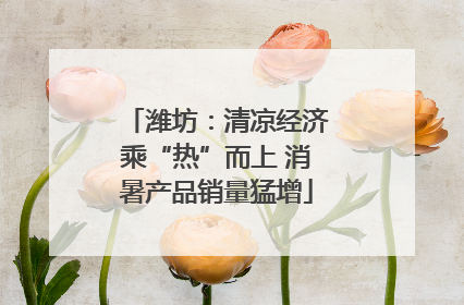 潍坊：清凉经济乘“热”而上 消暑产品销量猛增