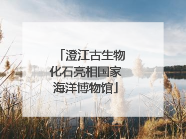 澄江古生物化石亮相国家海洋博物馆