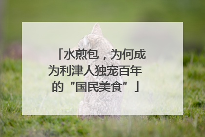 水煎包，为何成为利津人独宠百年的“国民美食”