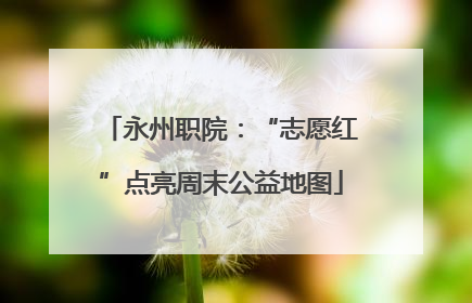 永州职院：“志愿红”点亮周末公益地图