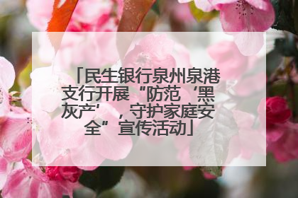 民生银行泉州泉港支行开展“防范‘黑灰产’，守护家庭安全”宣传活动