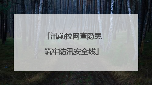 汛前拉网查隐患 筑牢防汛安全线