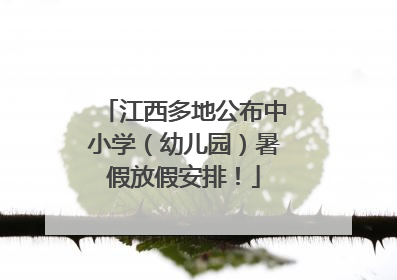江西多地公布中小学（幼儿园）暑假放假安排！