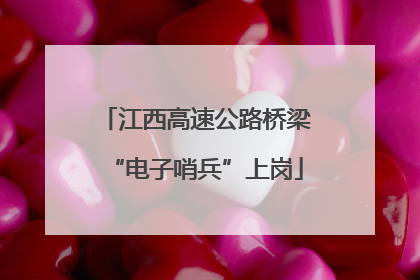 江西高速公路桥梁“电子哨兵”上岗