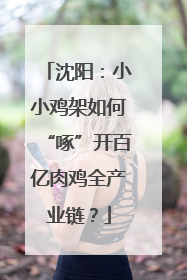 沈阳：小小鸡架如何“啄”开百亿肉鸡全产业链？