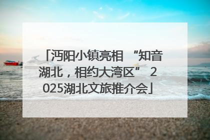 沔阳小镇亮相 “知音湖北，相约大湾区” 2025湖北文旅推介会