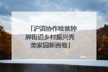 沪滇协作绘就钟屏街道乡村振兴秀美家园新画卷
