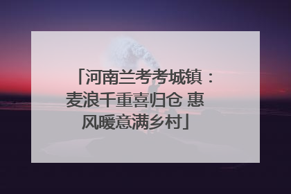 河南兰考考城镇：麦浪千重喜归仓 惠风暖意满乡村