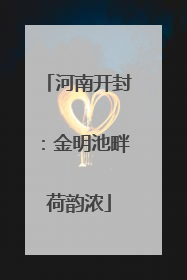 河南开封：金明池畔荷韵浓