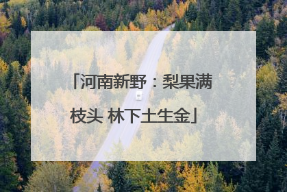 河南新野：梨果满枝头 林下土生金