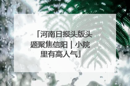 河南日报头版头题聚焦信阳｜小院里有高人气
