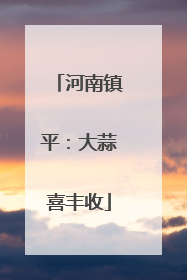 河南镇平：大蒜喜丰收