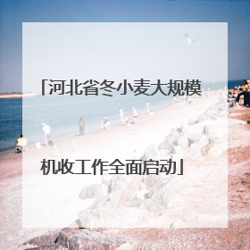 河北省冬小麦大规模机收工作全面启动