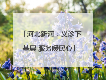 河北新河：义诊下基层 服务暖民心
