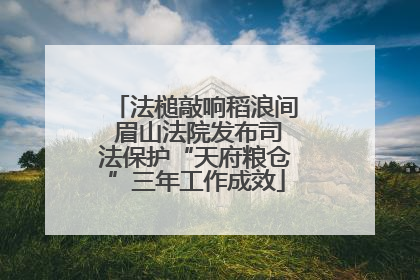 法槌敲响稻浪间 眉山法院发布司法保护“天府粮仓”三年工作成效