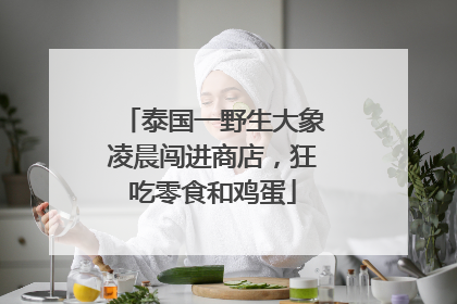 泰国一野生大象凌晨闯进商店，狂吃零食和鸡蛋