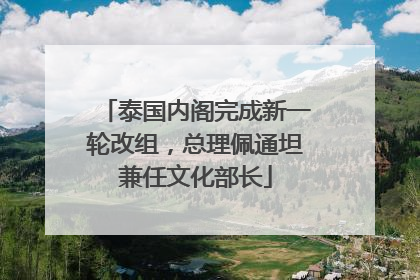 泰国内阁完成新一轮改组，总理佩通坦兼任文化部长