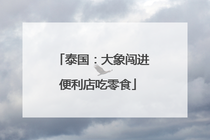 泰国：大象闯进便利店吃零食