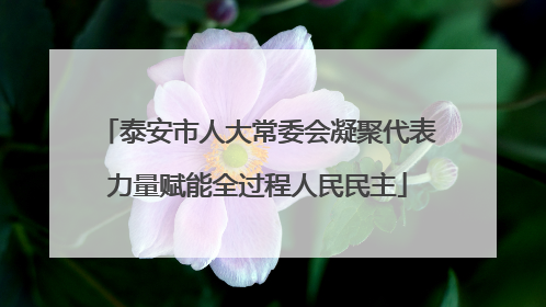 泰安市人大常委会凝聚代表力量赋能全过程人民民主