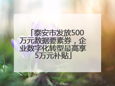 泰安市发放500万元数据要素券，企业数字化转型最高享5万元补贴