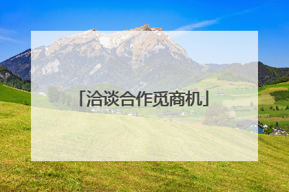 洽谈合作觅商机