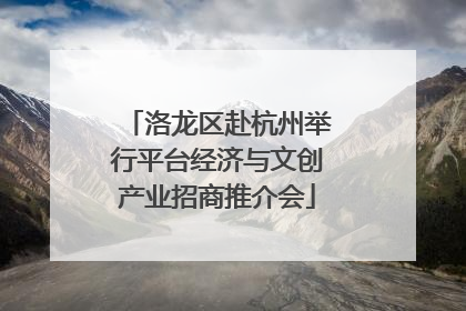 洛龙区赴杭州举行平台经济与文创产业招商推介会