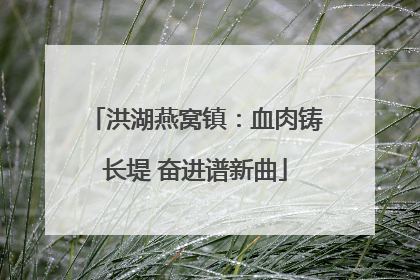 洪湖燕窝镇：血肉铸长堤 奋进谱新曲