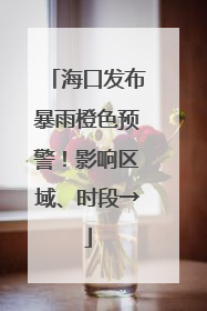 海口发布暴雨橙色预警！影响区域、时段→