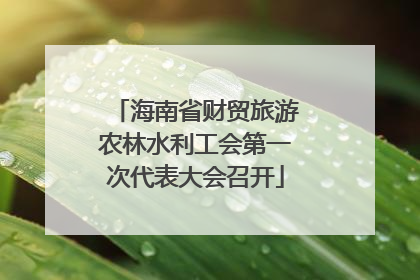 海南省财贸旅游农林水利工会第一次代表大会召开