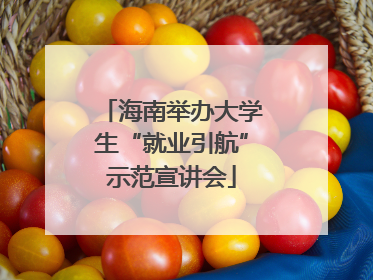 海南举办大学生“就业引航”示范宣讲会