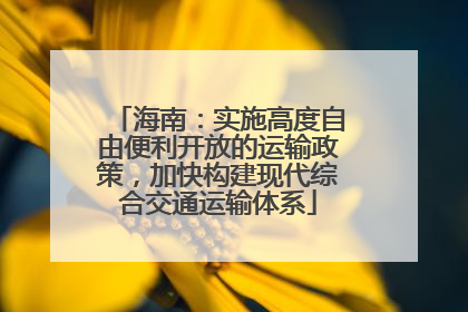海南：实施高度自由便利开放的运输政策，加快构建现代综合交通运输体系