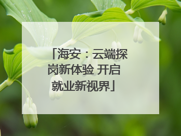 海安：云端探岗新体验 开启就业新视界