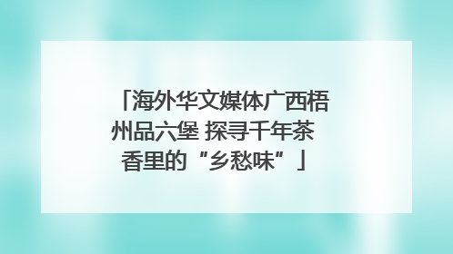 海外华文媒体广西梧州品六堡 探寻千年茶香里的“乡愁味”