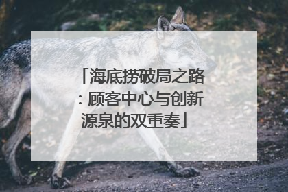 海底捞破局之路：顾客中心与创新源泉的双重奏
