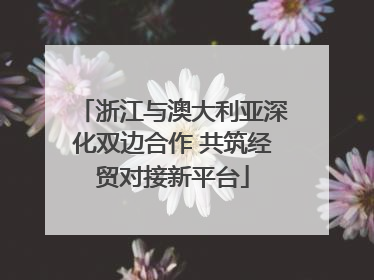 浙江与澳大利亚深化双边合作 共筑经贸对接新平台