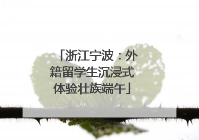 浙江宁波：外籍留学生沉浸式体验壮族端午