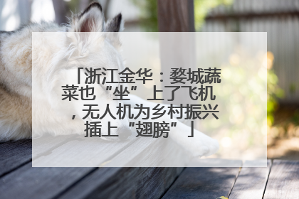 浙江金华：婺城蔬菜也“坐”上了飞机，无人机为乡村振兴插上“翅膀”