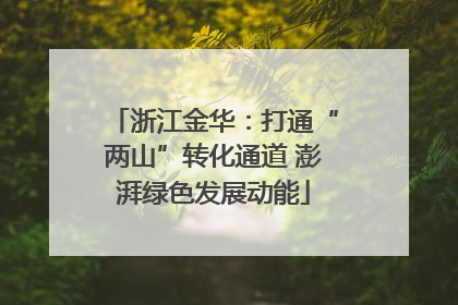 浙江金华：打通“两山”转化通道 澎湃绿色发展动能