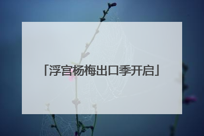 浮宫杨梅出口季开启