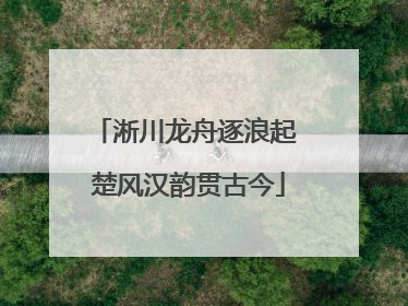 淅川龙舟逐浪起 楚风汉韵贯古今