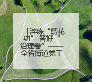 淬炼“绣花功” 答好“治理卷”——全省街道党工委副书记抓党建促基层治理培训示范班侧记