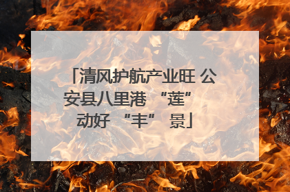 清风护航产业旺 公安县八里港 “莲” 动好 “丰” 景