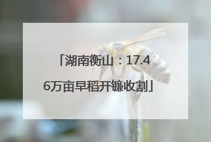湖南衡山：17.46万亩早稻开镰收割