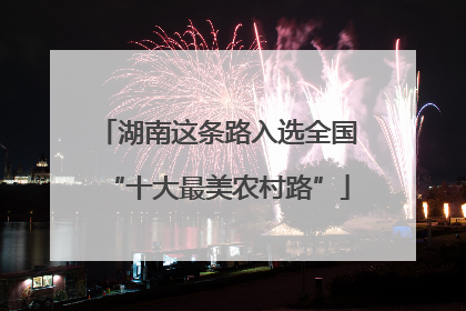 湖南这条路入选全国“十大最美农村路”
