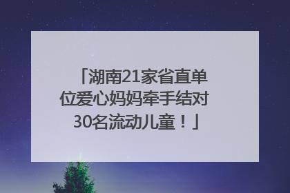 湖南21家省直单位爱心妈妈牵手结对30名流动儿童！