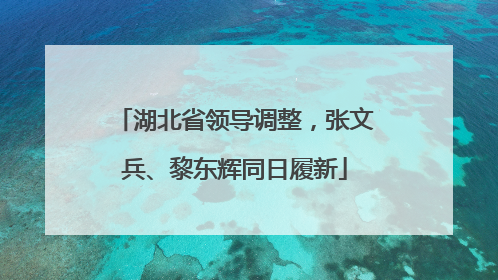 湖北省领导调整，张文兵、黎东辉同日履新