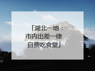 湖北一地：市内出差一律自费吃食堂