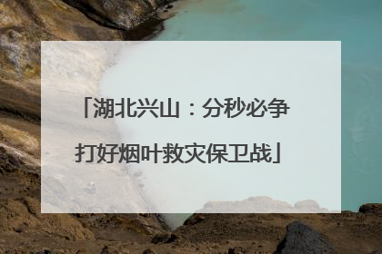湖北兴山：分秒必争 打好烟叶救灾保卫战