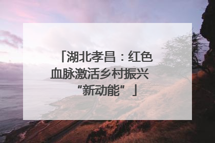 湖北孝昌：红色血脉激活乡村振兴“新动能”